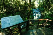 Kew Mae Pan,Doi Inthanon National Park