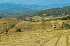 Landscape Rice Fields Maejam Chiangmai