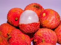 Lychee Fruit Background