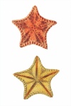 Maritime Starfish Vintage Art