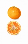 Orange Fruit Fruit Vintage