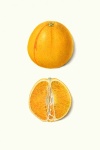 Orange Fruit Fruit Vintage