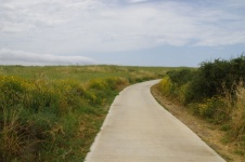 Path Through Wildflower Meadow