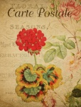 Red Flower Vintage Postcard