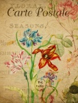 Tulips Vintage Floral Postcard