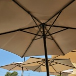 Umbrellas In Beige