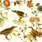 Vintage Birds And Flowers
