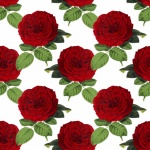 Vintage Roses Background Wallpaper