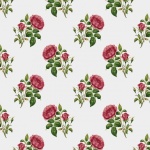 Vintage Roses Background Wallpaper