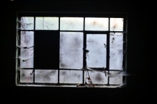 Window With Cobwebs