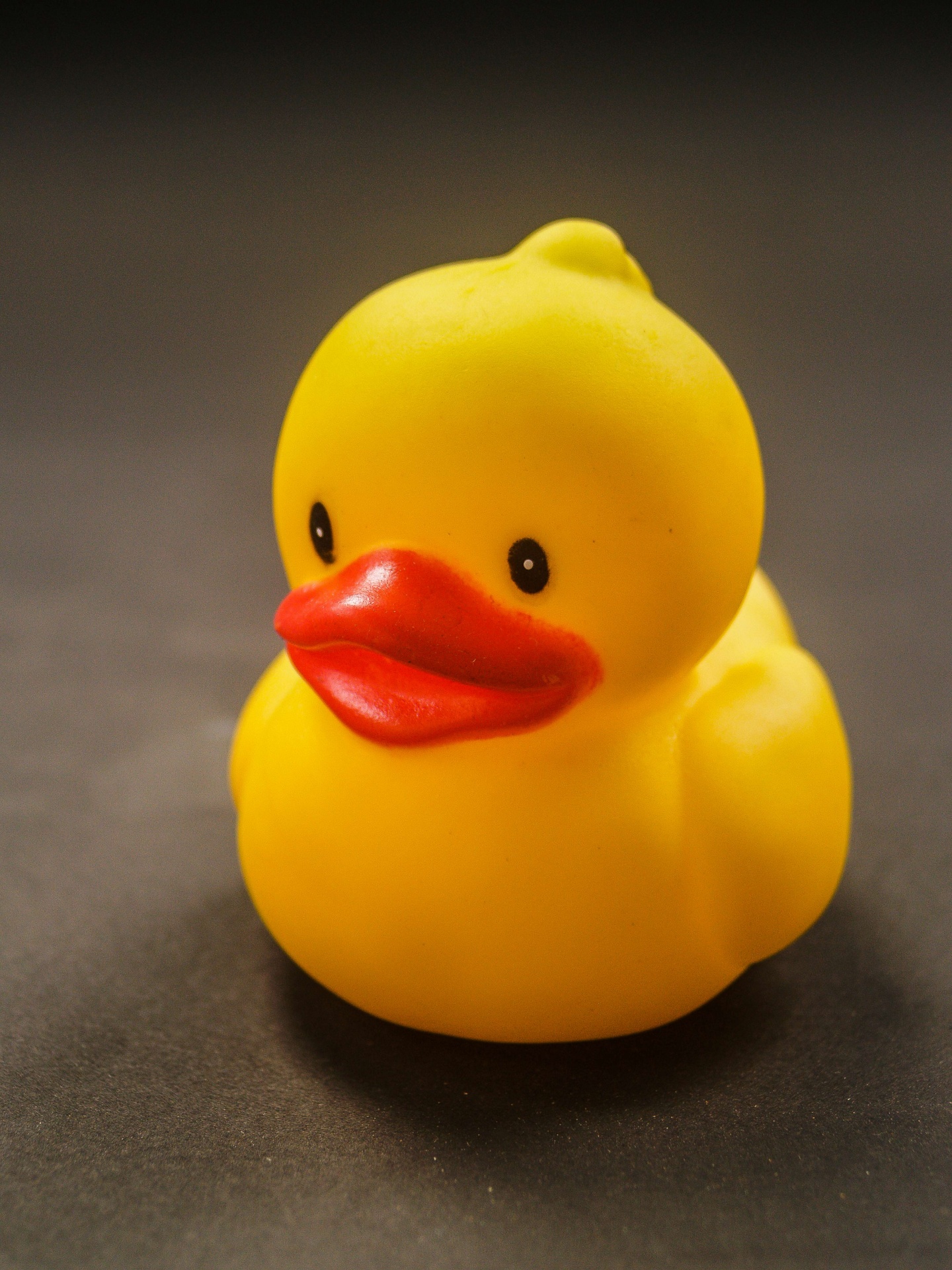 Bath Duck Toy