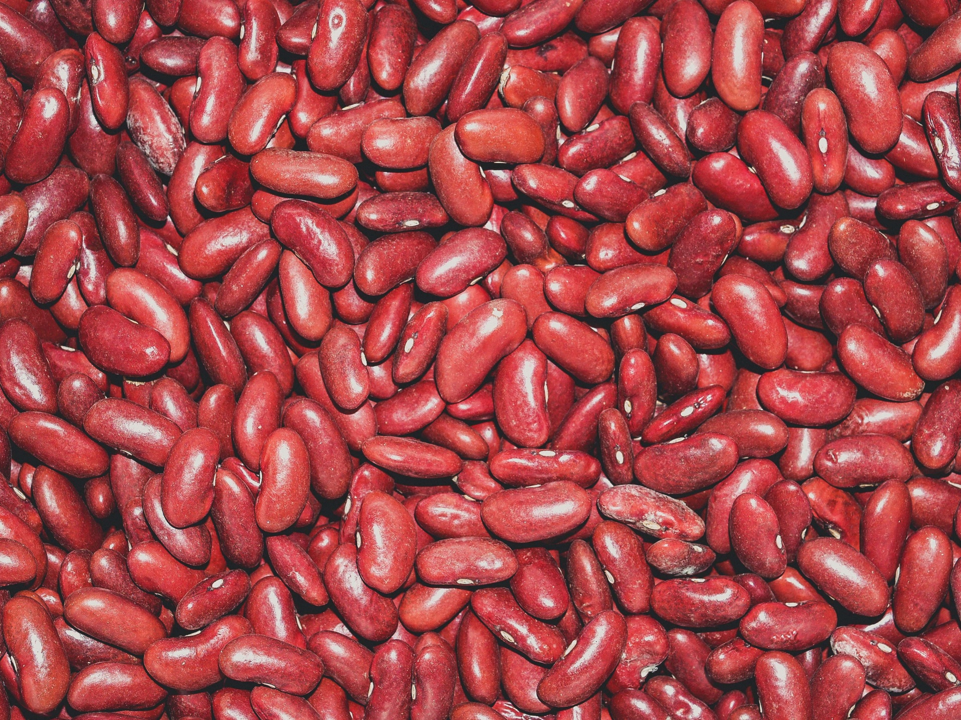 Close up Red beans background