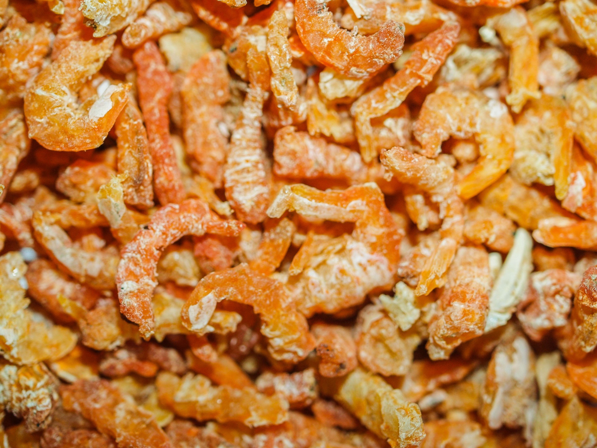 Dry Shrimp With White Background