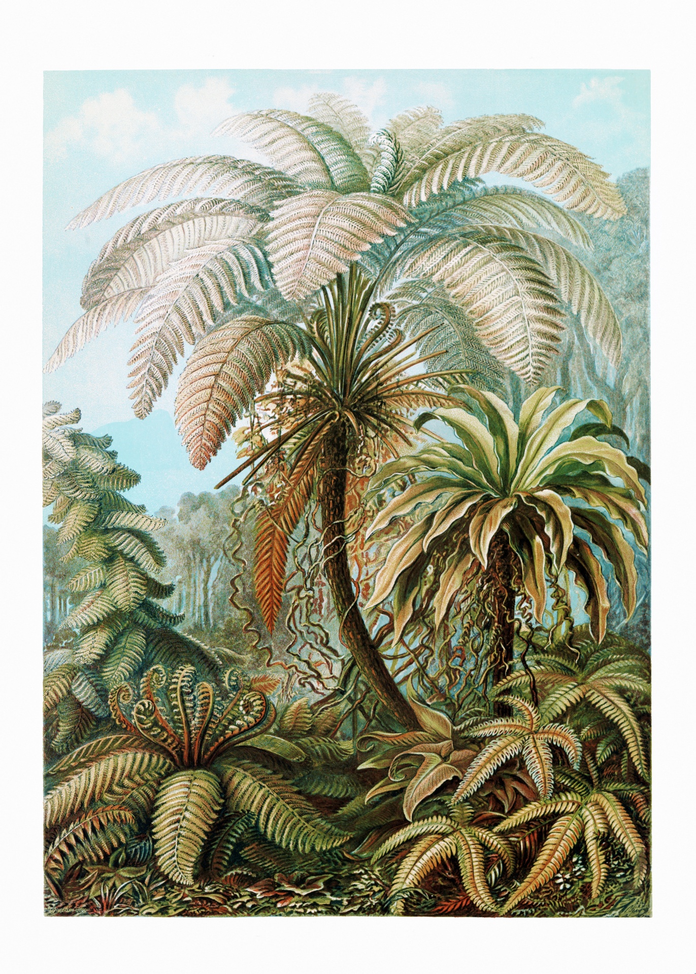 Jungle wilderness jungle vintage 1900 century old antique poster retro palm trees nature blackboard painting hand painted art wallpaper illustration colors colorful background plants flowers blossoms amazon