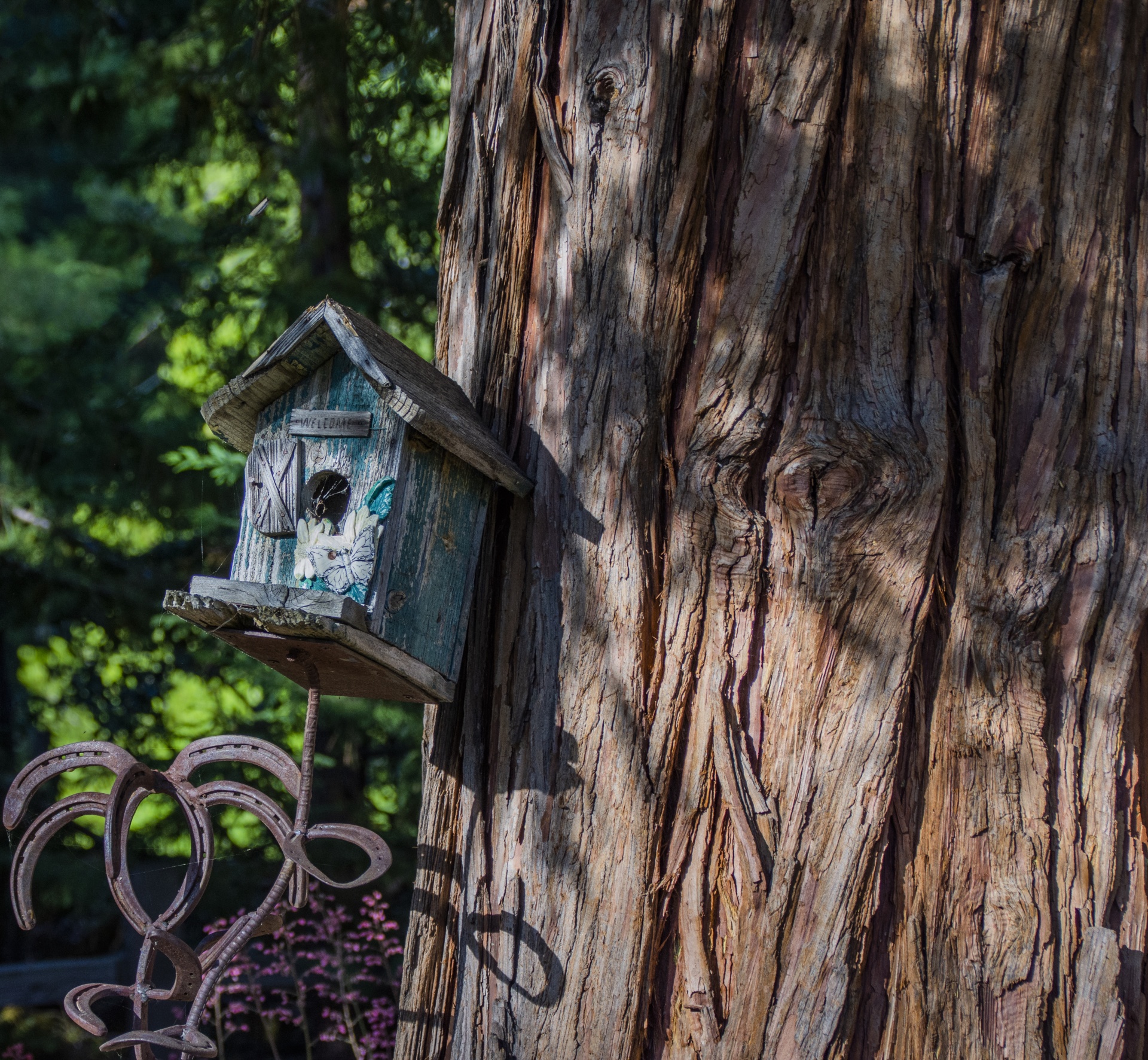 weathered wooden birdhouse on a huge old tree trunk
