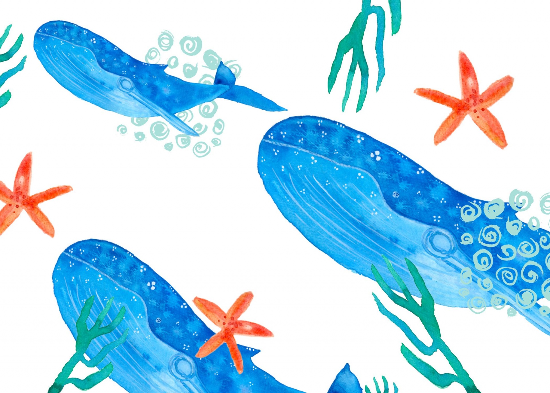 watercolor of blue whales with orange starfish and green kelp image