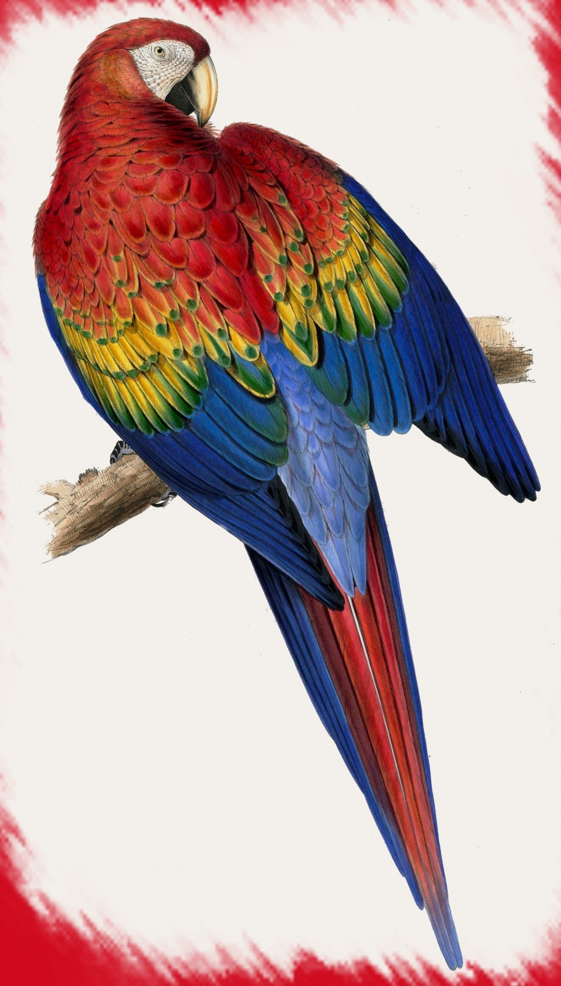 Parrot LEAR - 2