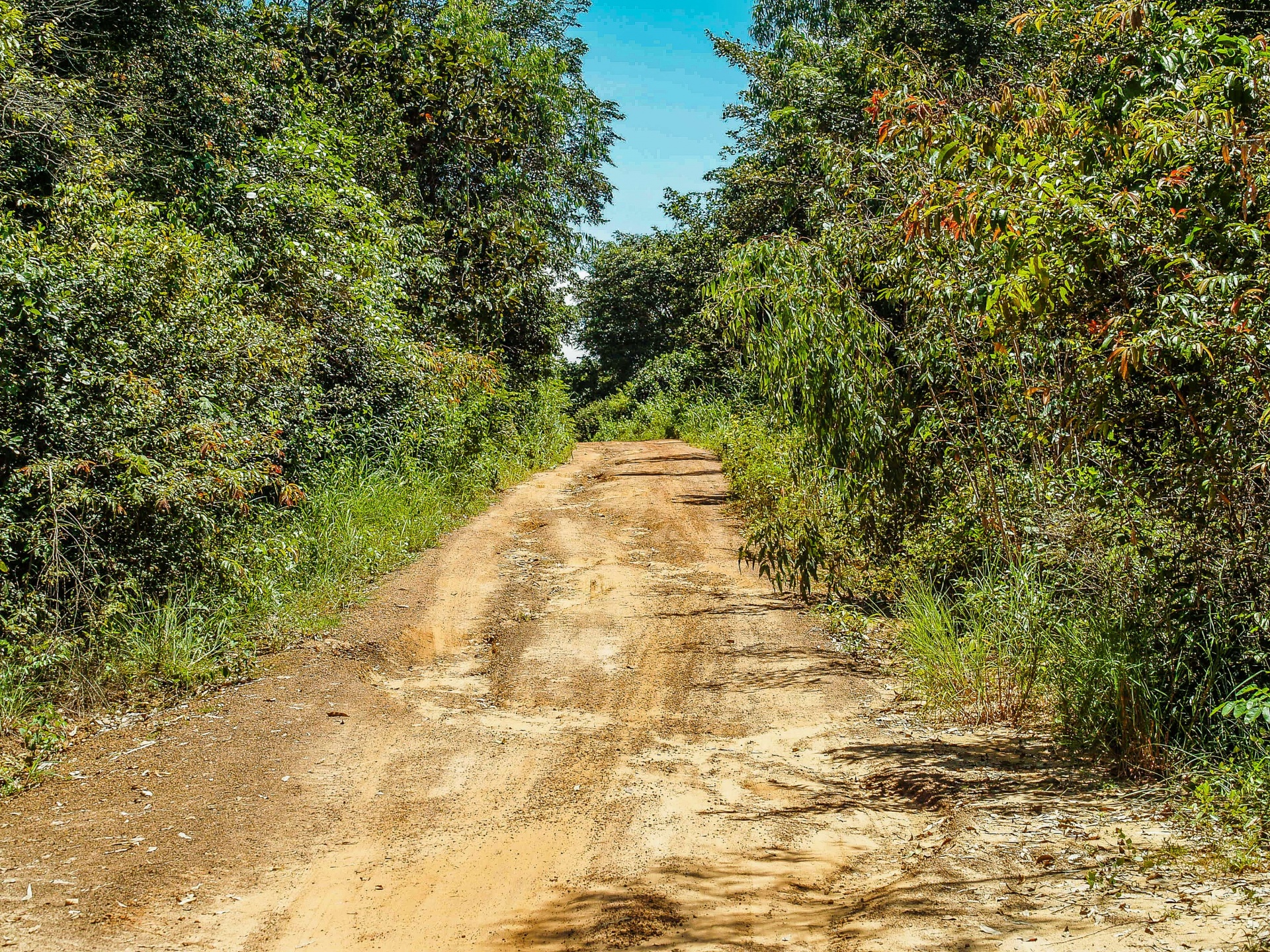 Road In Rural Area Farm