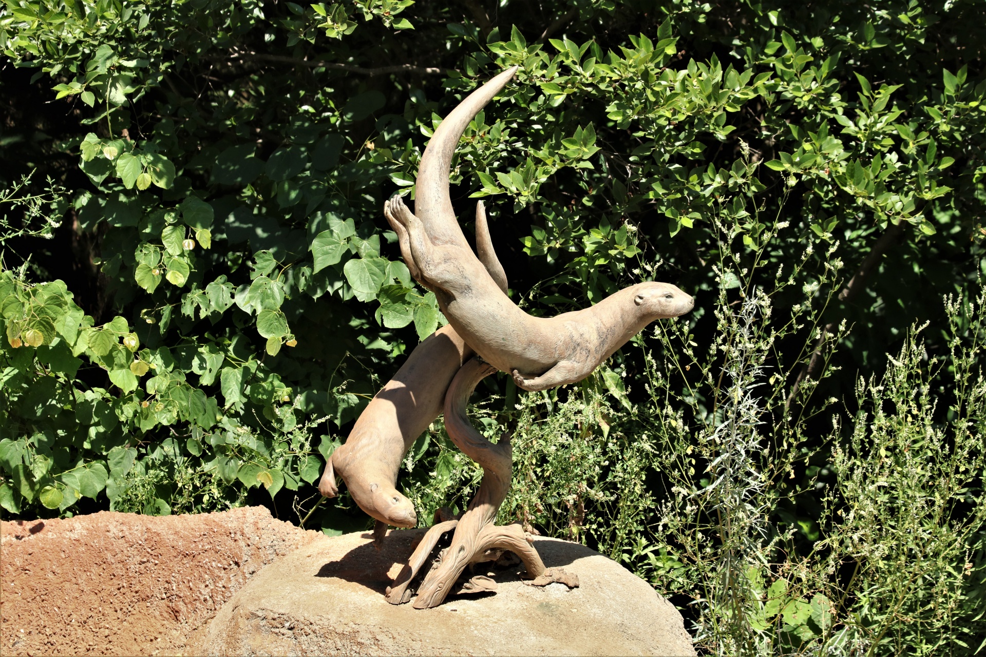 Seal Sculpture At Zoo