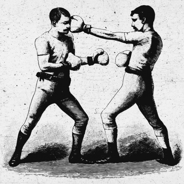 Vintage Boxers Free Stock Photo - Public Domain Pictures