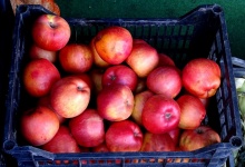 Basket Of Red Apples