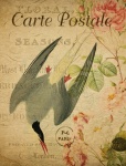 Bird Floral French Postcard