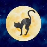 Black Cat And Full Moon
