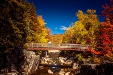 Bridge In Forest In Autumn