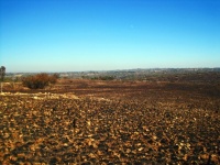 Burnt Down Grassland