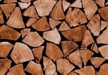 Chopped Log Ends Background