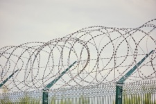 Fence And Barbed Wire