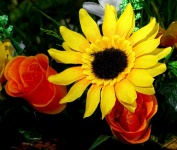 Colorful Artificial Flowers