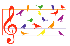 Colorful Musical Birds