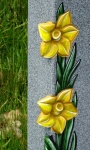 Daffodils Engraved On Marble