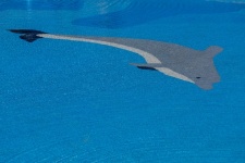 Dolphin Pool