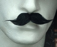 False Moustache