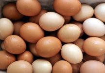 Farm Fresh Eggs Close-up