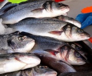 Fishmongers Sea Bass
