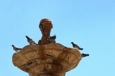 Five Pigeons On Water Fountain