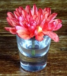Flower In Glass Of Water