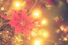 Flower On A Christmas Tree