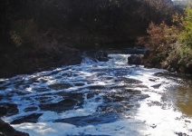 Foamy White River Downstream