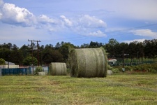 Freshly Cut Bales Of Hay On Farm