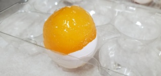 Frozen Egg