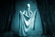 Ghost In The Forest