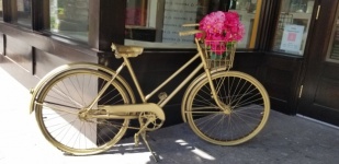 Golden Bike