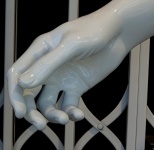 Hand Of A Mannequin