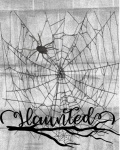 Haunted Spider Web