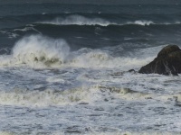 Stormy Sea Wave