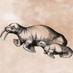 Vintage Seal Illustration